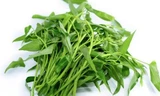 Ai cũng từng ăn rau muống, nhưng ít người biết những ‘đại kỵ’ khi ăn có thể gây hại thận, ngộ độc