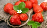 Dâu tây vào mùa, ngon khó cưỡng, lại mang đến nhiều lợi ích bất ngờ cho sức khỏe