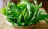 Sai lầm khi ăn ngải cứu có thể dẫn đến ngộ độc, động kinh,... biết mà tránh xa kẻo 'hối không kịp'