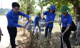 Đoàn tình nguyện đã trồng tặng khu di tích lịch sử Truông Bồn công trình vườn cây thanh niên với 1.000 cây hoa mua hoa sim.