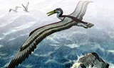 Quái vật chim cổ đại có sải cánh dài ngang phi cơ