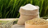 Xuất khẩu gạo Việt Nam vừa lập kỷ lục lịch sử lại nhận 'tin xấu'