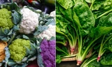Những loại rau xanh ăn mỗi ngày cực tốt, giúp đào thải mỡ thừa, chống lão hóa