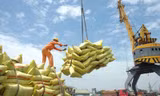 Gạo Việt xuất khẩu lấy lại vị thế ‘đắt giá nhất thế giới’