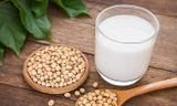 Những đại kỵ khi uống sữa đậu nành: Lưu ý để tránh rước bệnh vào thân