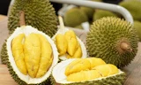  Xuất khẩu sầu riêng lao dốc, nhập từ Thái Lan và Malaysia tăng đột biến