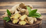 Gừng rất tốt cho sức khỏe, giúp tăng sức đề kháng mùa dịch nhưng đại kỵ với một số người