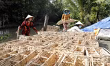 Những con số 'biết nói' trong hành trình giảm nghèo bền vững ở Việt Nam