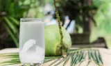 Nước dừa rất tốt nhưng những người này càng uống càng gây hại, nên tránh thật xa