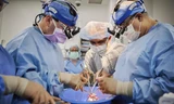 Kỳ tích y học: Cấy ghép thành công hai quả tim lợn cho bệnh nhân chết não 