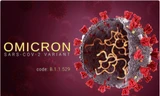 Biến thể Omicron sẽ xóa sổ biến thể Delta mãi mãi?