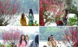 Đào bung sắc bên thảm hoa rực rỡ, 'nàng thơ' đua nhau chụp ảnh quanh hồ Hoàn Kiếm