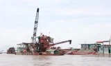 Cảnh máy móc khai thác cát tặc trên sông Hồng.