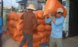Giá gạo Việt xuất khẩu tiếp tục vượt Thái Lan