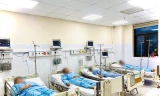 Cả nhà ngộ độc nấm, 1 người chết, 5 người cấp cứu tại bệnh viện