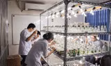 Gần 100 thí sinh được tuyển thẳng vào trường ĐH Khoa học Tự nhiên
