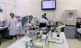 Trường ĐH Quốc tế (ĐHQG TP. HCM) tổ chức thi đánh giá năng lực để tuyển sinh