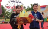 'Vua gà Tiên Yên' - cuộc thi có một không hai