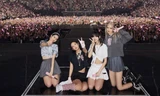Mốc thời gian, sơ đồ chi tiết và tất tật lưu ý về concert của BLACKPINK trước giờ G