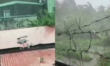Video bão số 3 đổ bộ Hải Phòng: Mưa lớn kèm gió giật quật đổ cây, bay mái tôn