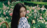 Fan bảo vệ Joy (Red Velvet) thế nào khi idol bị chỉ trích "mải yêu", bỏ bê người hâm mộ?