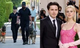 Hôn lễ của Brooklyn Beckham: An ninh 3 vòng chặt chẽ, có cả chó cảnh vệ, trực thăng bảo an