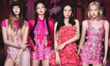 Loạt dự án đón BLACKPINK về Việt Nam: V-BLINK gây quỹ hàng chục triệu chỉ sau vài ngày