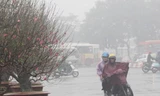 Ảnh hưởng không khí lạnh, miền Bắc rét đậm kèm mưa rào