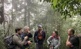 Ðoàn làm phim BBC trong rừng Phong Nha - Kẻ Bàng