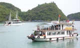 Tàu chở du khách tham quan vịnh Lan Hạ trên quần đảo Cát Bà, Hải Phòng