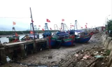 Luồng lạch bị bồi lắng, tàu thuyền nằm bờ