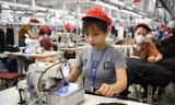 Dự báo xuất khẩu nhiều mặt hàng của Việt Nam sẽ bị ảnh hưởng trong thời gian tới. Ảnh: Như Ý