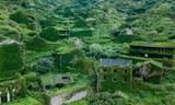 Ngỡ ngàng ngôi làng cổ bỏ hoang bị thiên nhiên 'nuốt chửng' 