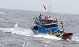 Cứu hộ 10 ngư dân gặp nạn trên biển