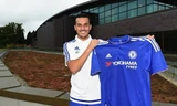 Pedro đã trở thành người của Chelsea.