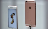 iPhone 6S màu vàng hồng có tạo cơn sốt như iPhone 5S vàng 2 năm về trước? Ảnh:Getty Images.
