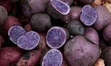 Sau xoài tím, đến lượt khoai tây tím khiến nhiều người ngạc nhiên