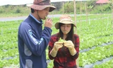Anh Takaya Hanaoka ăn thử rau tại vườn. Ảnh: QD.