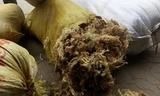 Rêu đá phơi khô chuẩn bị xuất bán.