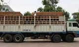 Xe tải chở gỗ quá tải 300%.
