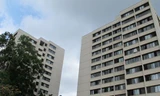 Cả hai sinh viên rơi từ lầu 14 của ký túc xá Hale Wainan. Ảnh: AP.