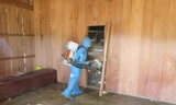 Y tế dự phòng phun hóa chất nơi làng xuất hiện bệnh lạ.