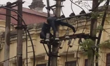 Nam thanh niên ngáo đá được phát hiện trên trạm biến áp.