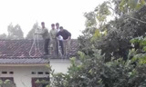 Người dân phải đứng trên nóc nhà, quăng dây xuống nhằm giăng bẫy bắt "trâu điên". Ảnh cắt từ clip do nhân chứng cung cấp.