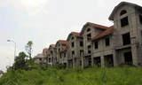 Dãy biệt thự bỏ hoang trong thời gian dài như màu xám xịt trong bức tranh bất động sản Hà Nội.