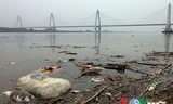 Rác thải, xác động vật chết... bị vứt đầy trên mặt sông. Ảnh chụp tại chân cầu Nhật Tân.