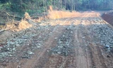 Nhiều uẩn khúc tại dự án đường lâm nghiệp gần 20 tỷ đồng