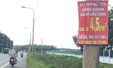 Nhan nhản bảng rao bán đất gần khu vực Dự án CHK quốc tế Long Thành.