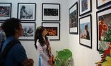 Khán giả tham quan triển lãm.