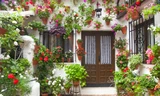 Những ngôi nhà rực rỡ sắc màu nhờ các giỏ hoa